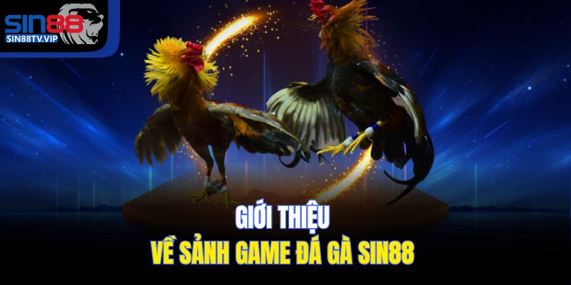 Giới thiệu về sảnh game đá gà Sin88 