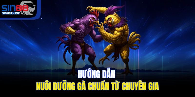 Hướng dẫn nuôi dưỡng gà chuẩn từ chuyên gia