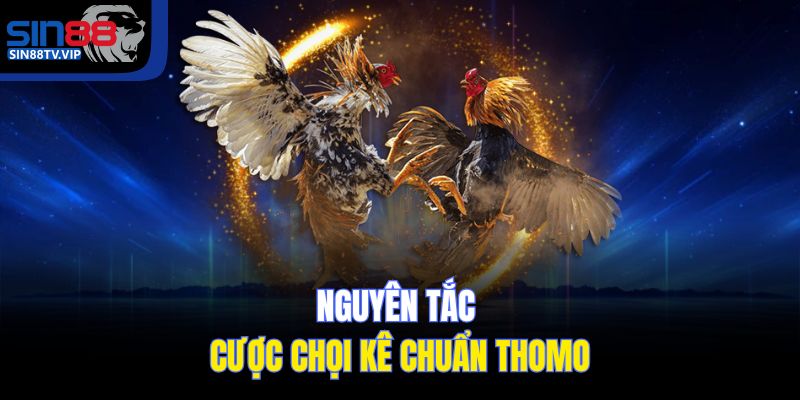 Nguyên tắc cược chọi kê chuẩn Thomo